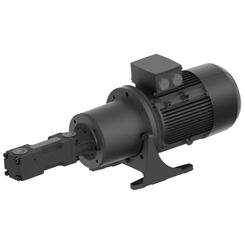 Винтовые шпиндельные насосы BRINKMANN